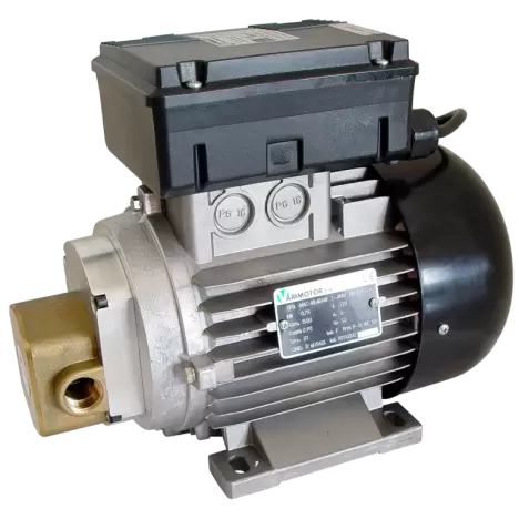 Lubricant Gear Pumps